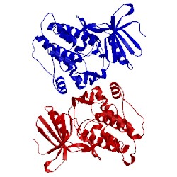 Image of CATH 4jnw