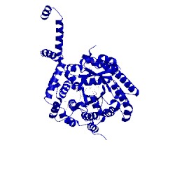 Image of CATH 4jnz