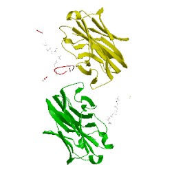 Image of CATH 4jo4