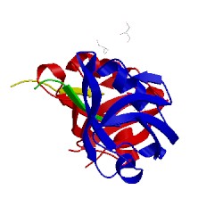 Image of CATH 4jog