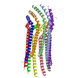 Image of CATH 4jpn