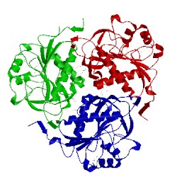 Image of CATH 4jqs