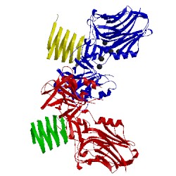 Image of CATH 4jra