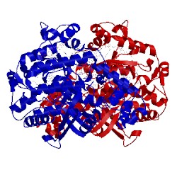 Image of CATH 4js4