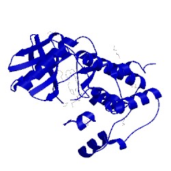 Image of CATH 4js8