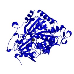 Image of CATH 4jsd