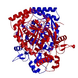 Image of CATH 4jsh