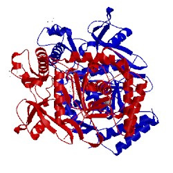 Image of CATH 4jsl