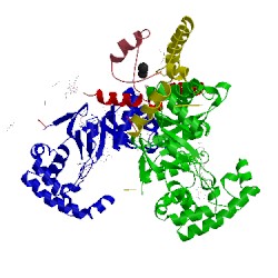 Image of CATH 4jtc