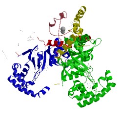 Image of CATH 4jtd