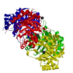 Image of CATH 4jti
