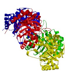 Image of CATH 4jtl