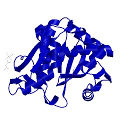 Image of CATH 4jtp