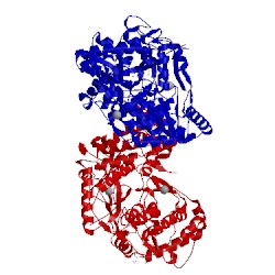 Image of CATH 4jtw