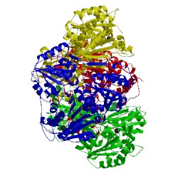 Image of CATH 4juc