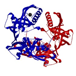 Image of CATH 4juu