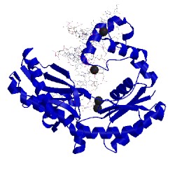 Image of CATH 4jv1