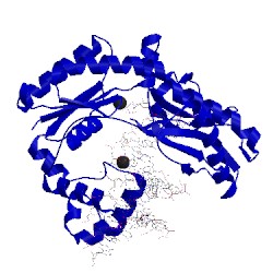 Image of CATH 4jv2