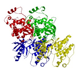 Image of CATH 4jvg