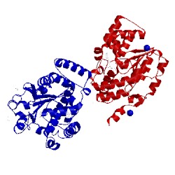Image of CATH 4jvl