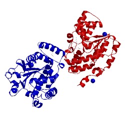 Image of CATH 4jvm