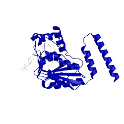 Image of CATH 4jvt