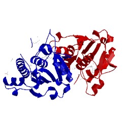 Image of CATH 4jwf