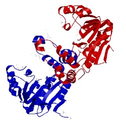 Image of CATH 4jwv
