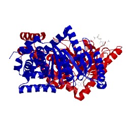 Image of CATH 4jyb