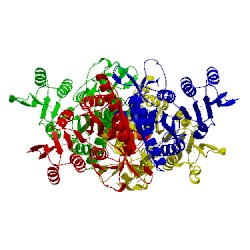 Image of CATH 4jz7