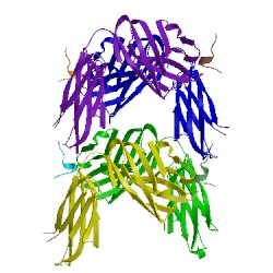 Image of CATH 4jzo