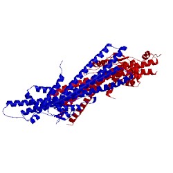 Image of CATH 4k34