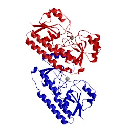 Image of CATH 4k3v