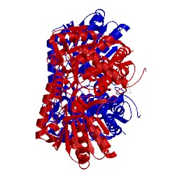 Image of CATH 4k57