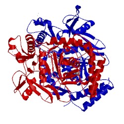 Image of CATH 4k5k