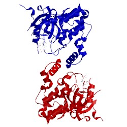 Image of CATH 4k77