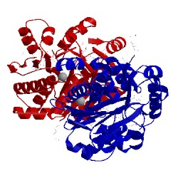 Image of CATH 4k8c