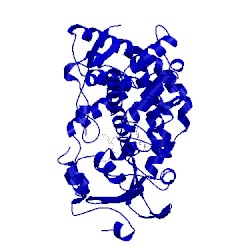 Image of CATH 4k9x