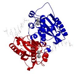 Image of CATH 4kb0