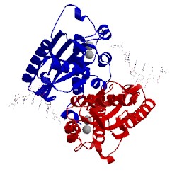 Image of CATH 4kb1