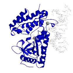 Image of CATH 4kb6