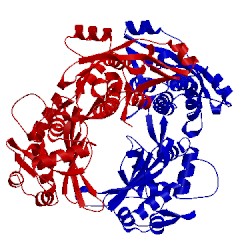 Image of CATH 4kbj