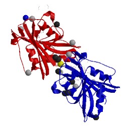 Image of CATH 4kbn