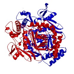 Image of CATH 4kcs