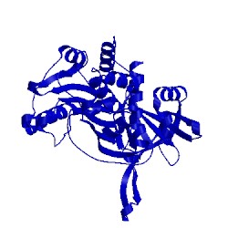 Image of CATH 4kds