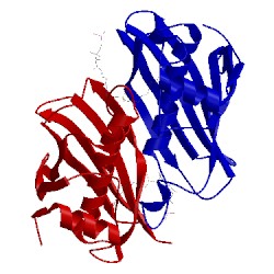 Image of CATH 4keh