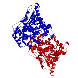Image of CATH 4key