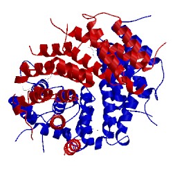 Image of CATH 4kf8