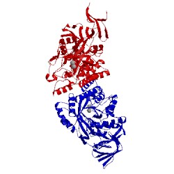 Image of CATH 4kir