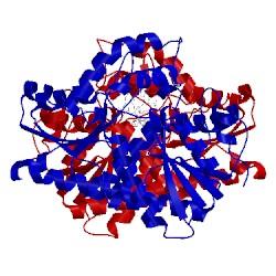 Image of CATH 4klc